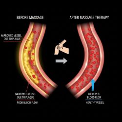 Narmal Vs. Narrow Photo